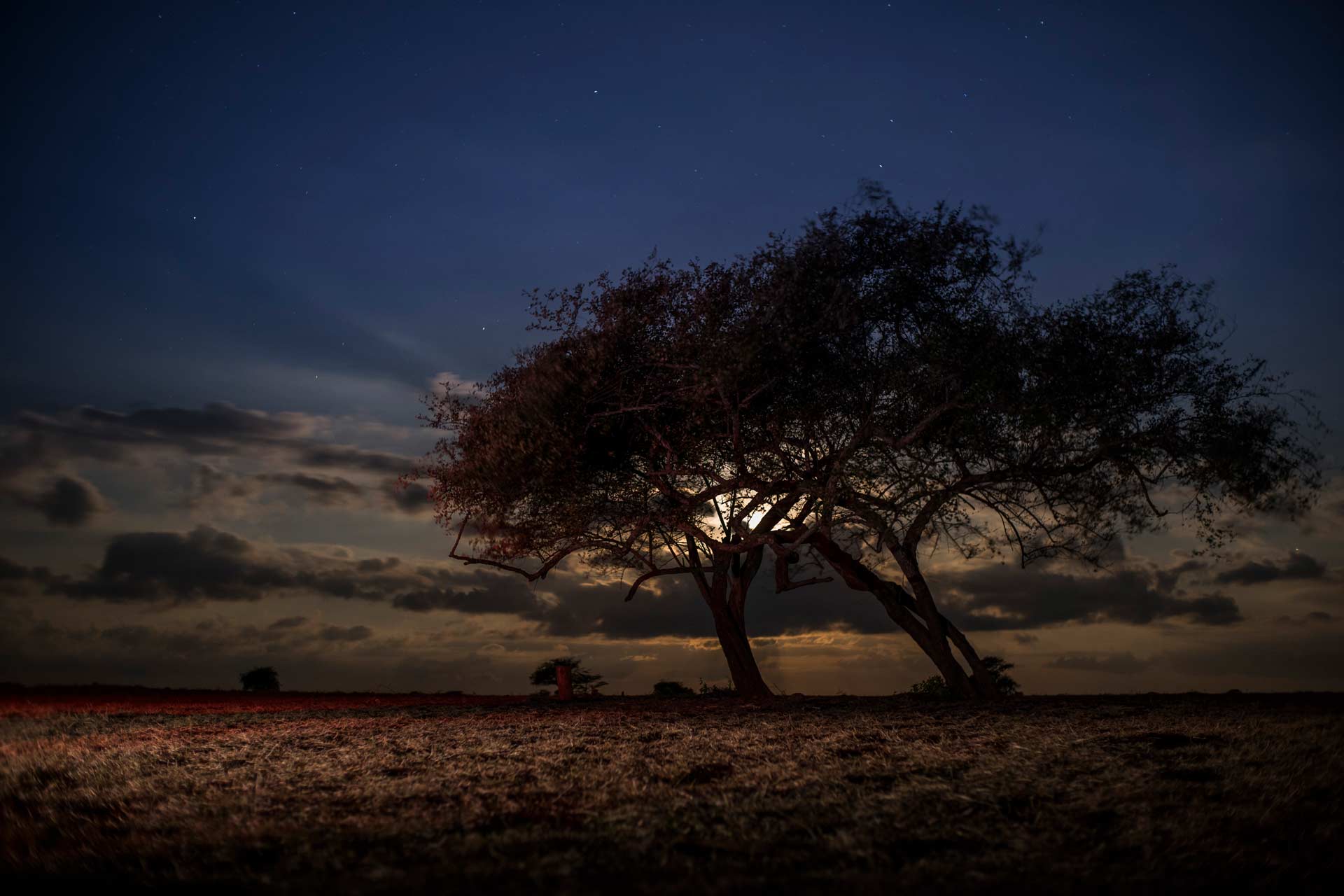 Under the Spell of Baluran