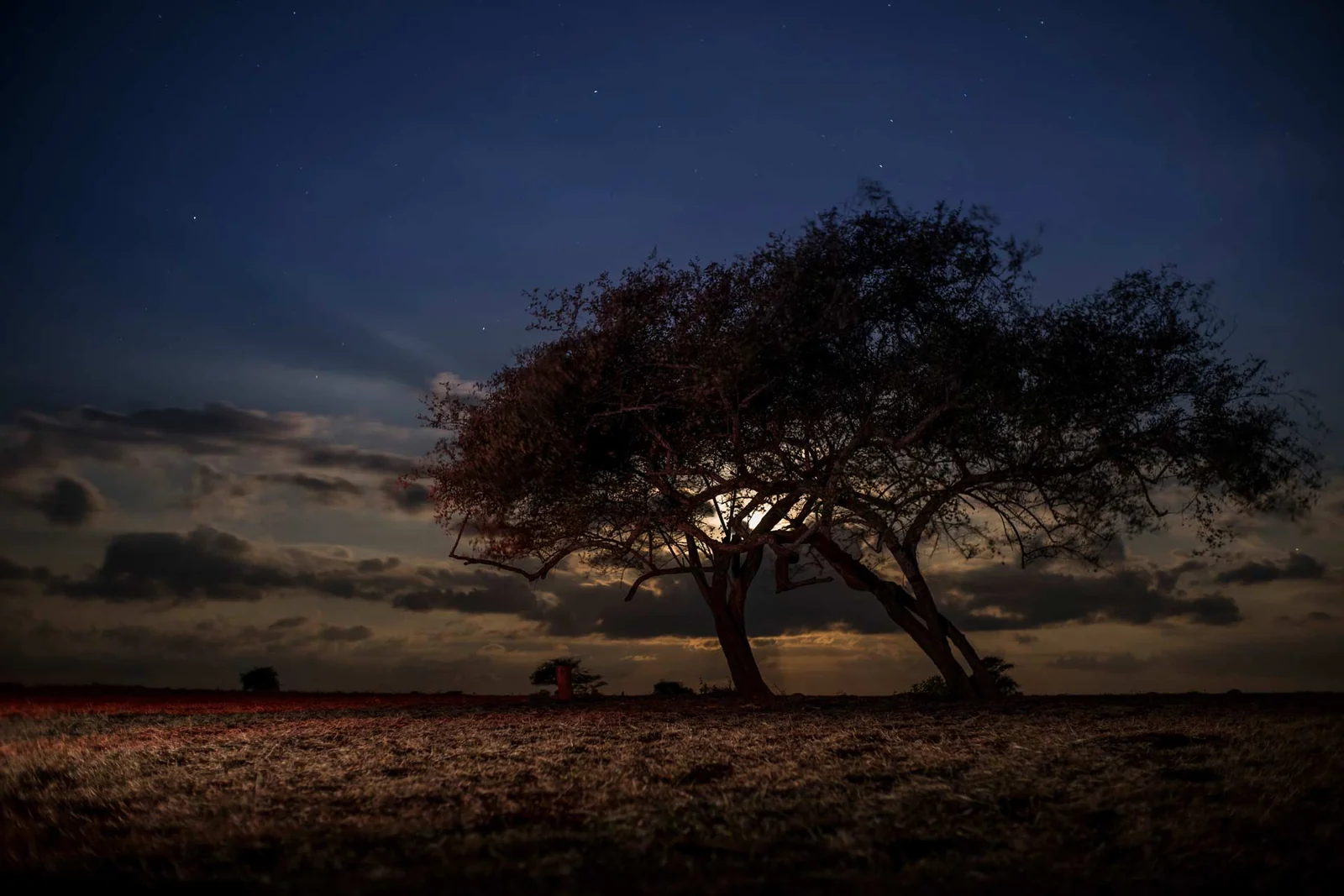 Under the Spell of Baluran