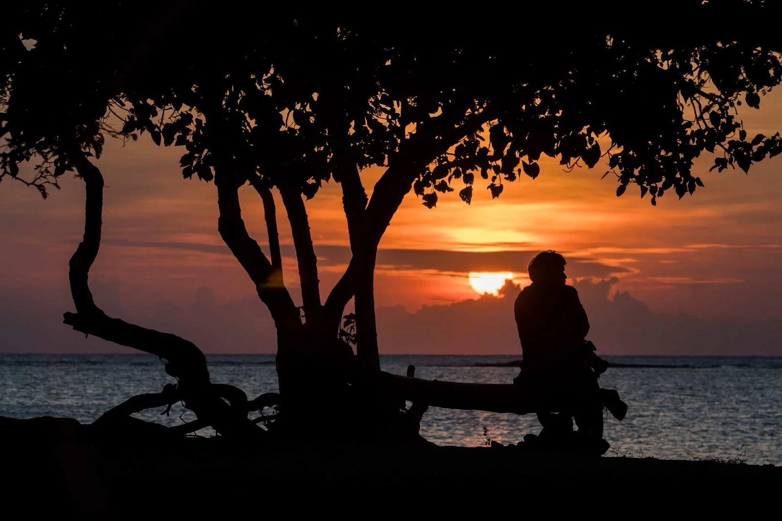 Under the Spell of Baluran