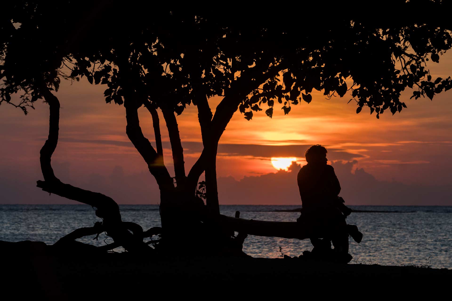 Under the Spell of Baluran